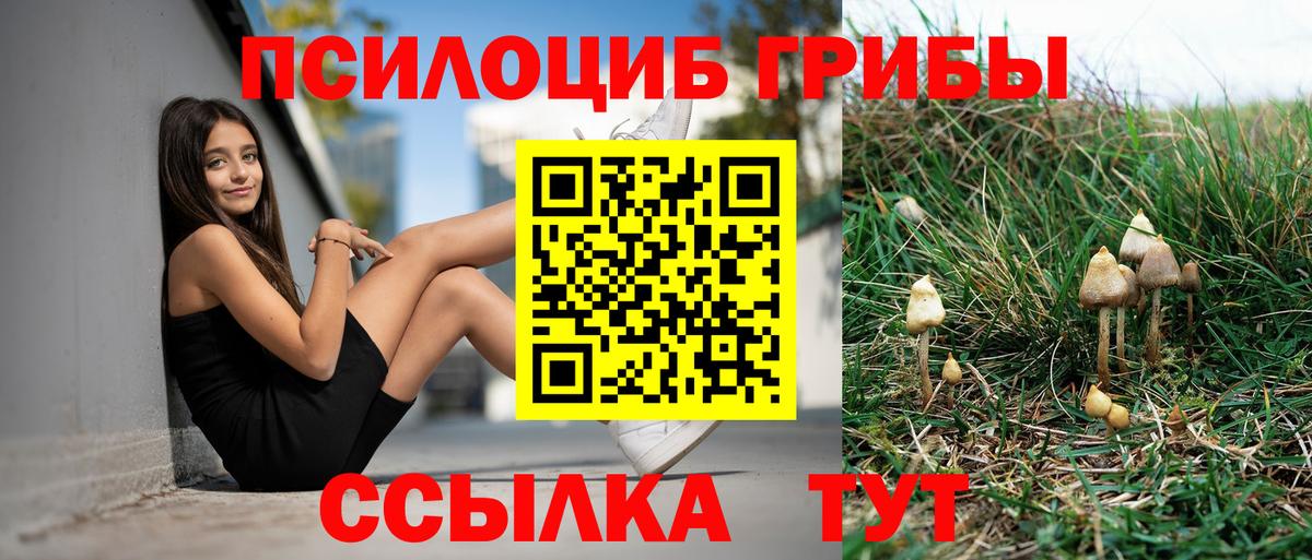 Псилоцибиновые грибы Magic Shrooms Ростов-на-Дону