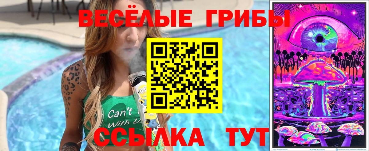 Ростов-на-Дону  Псилоцибиновые грибы мицелий  Вход с VPN 